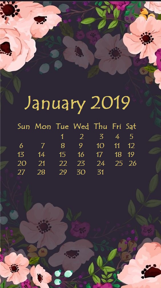 2019 January iPhone Calendar Wallpapers