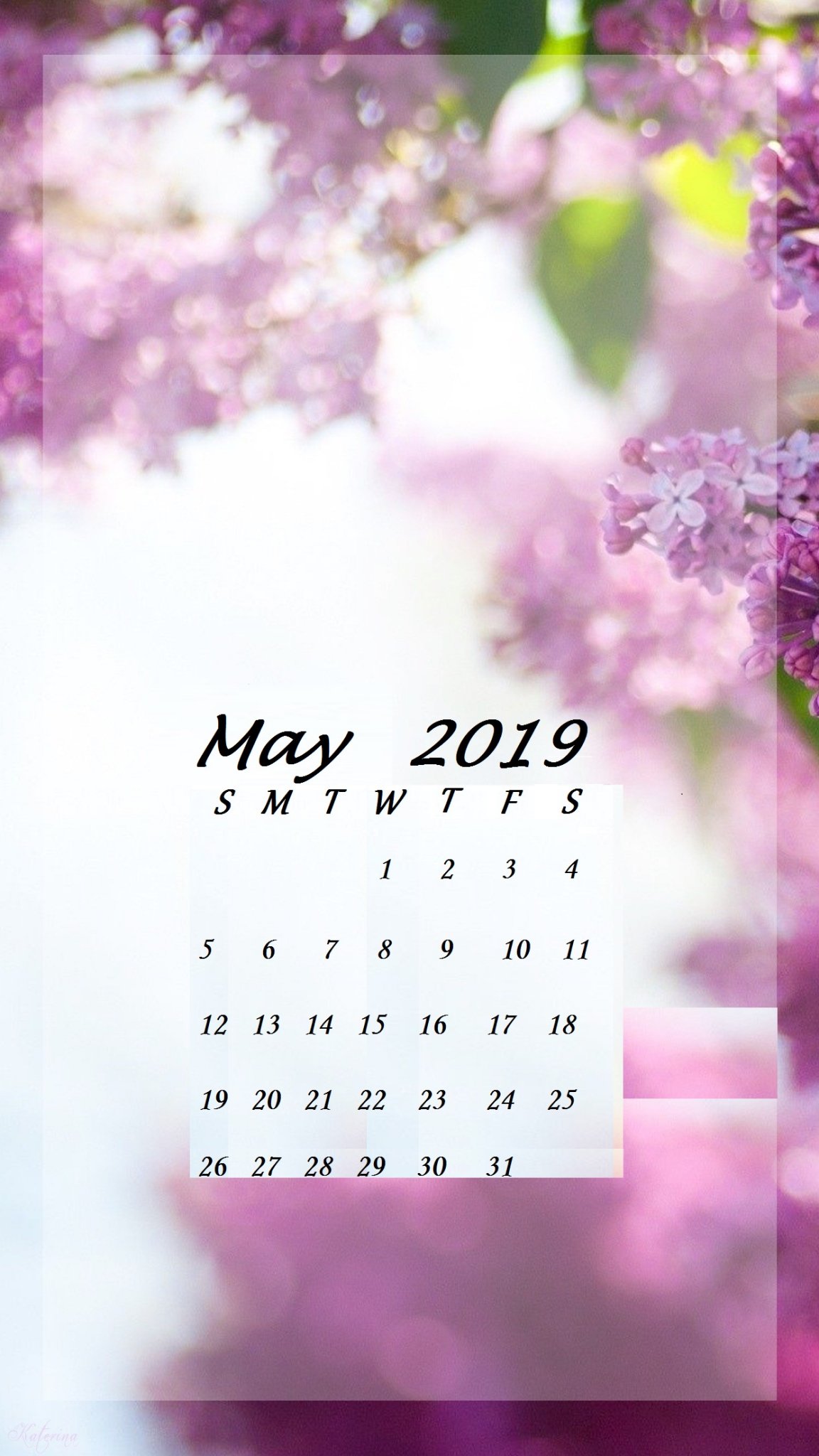 Blur Flowers Background May 2019 Calendar