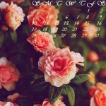 Lovely Flowers March 2019 Iphone calendar wallpaper