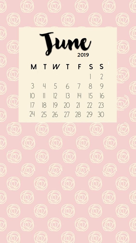 Matte Background June 2019 iPhone Wallpaper Calendar