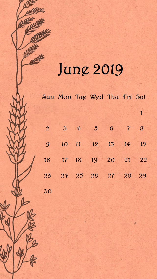 Orange Background June 2019 iPhone Wallpaper