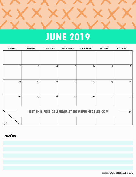 Cute June 2019 Calendar Printable