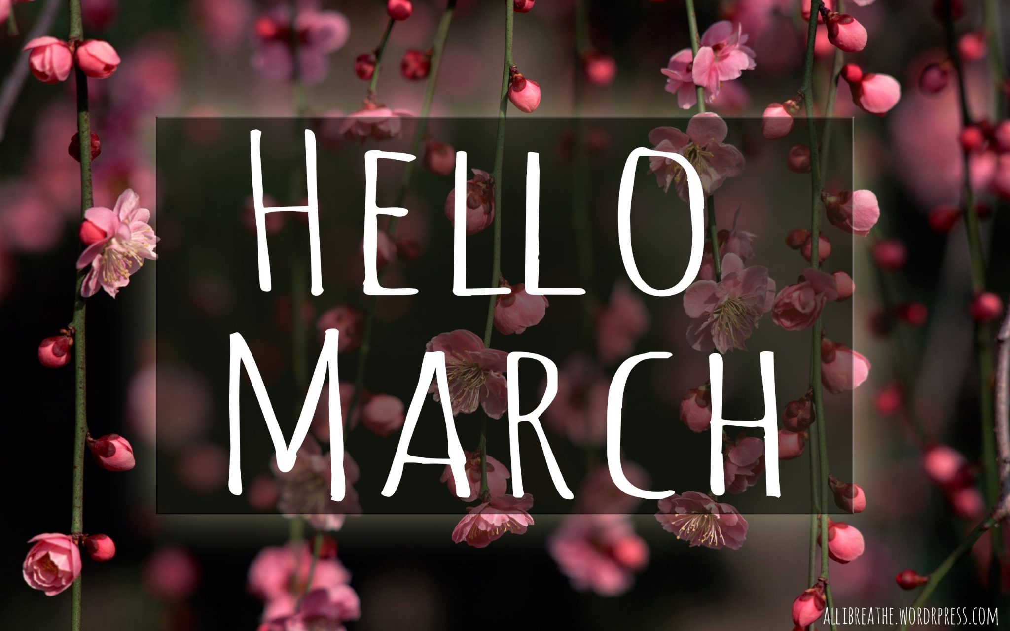 Hello March Wallpapers
