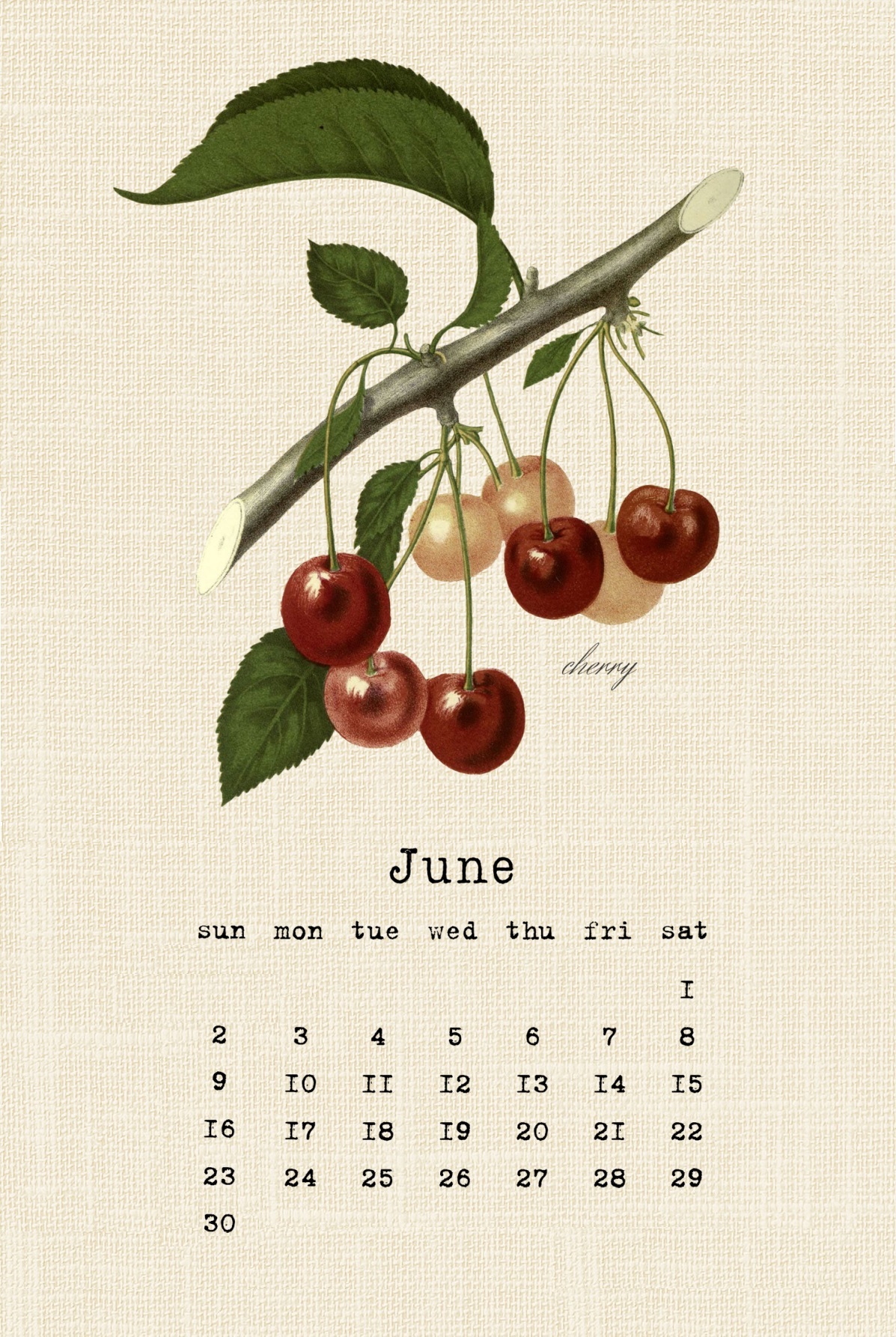 Botanical June 2019 Calendar Design