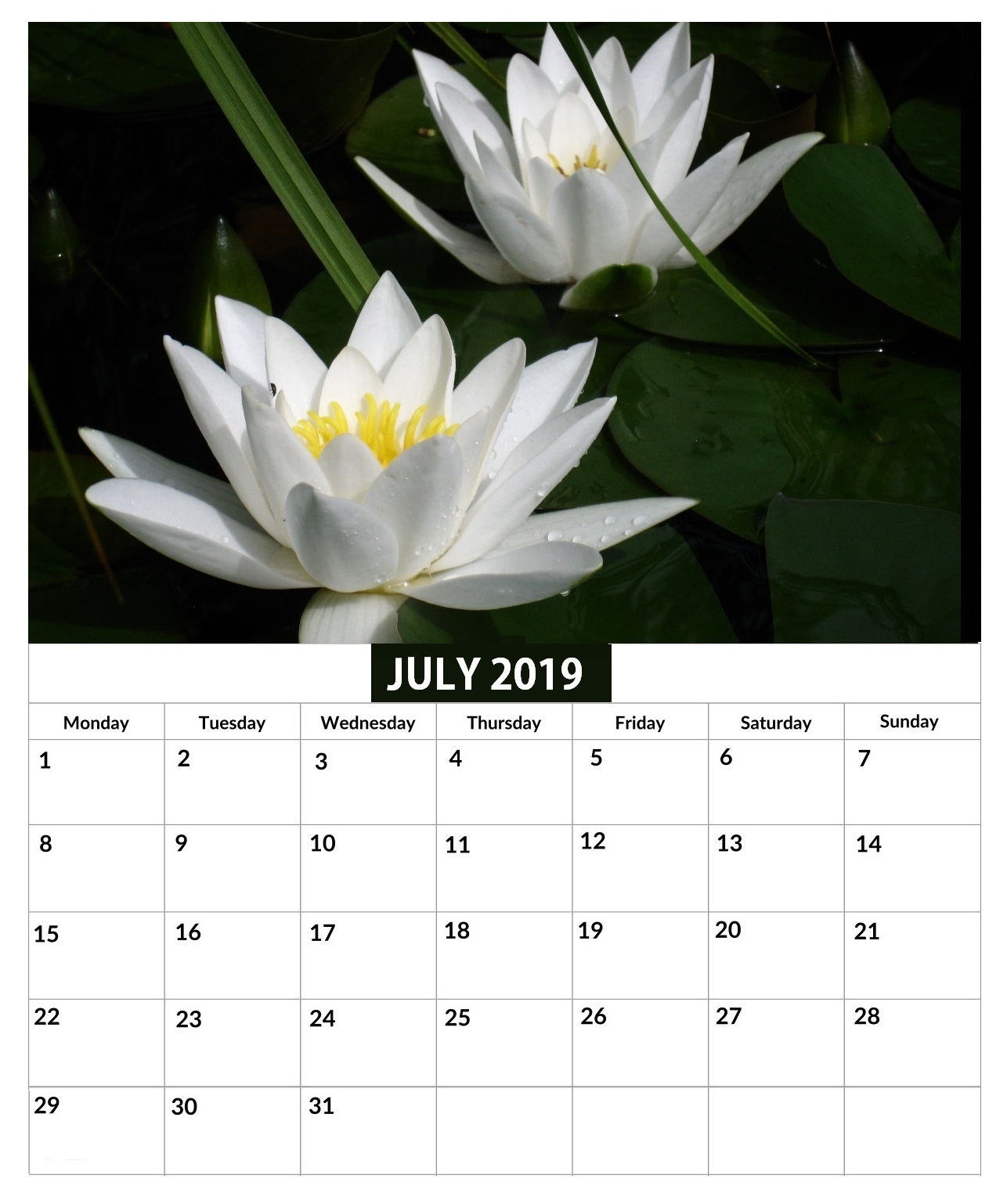July 2019 Calendar For Office Wall