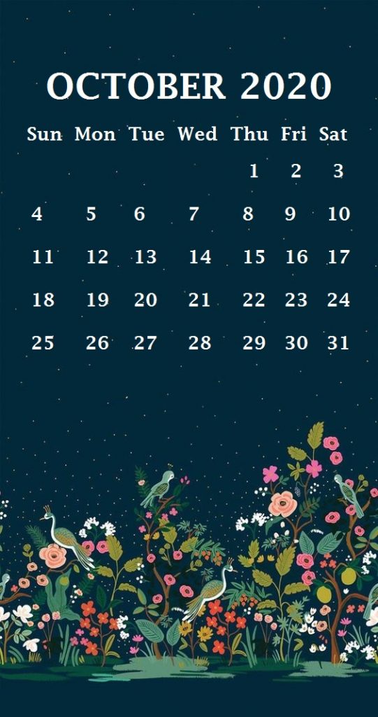 iPhone October 2020 Calendar Wallpaper