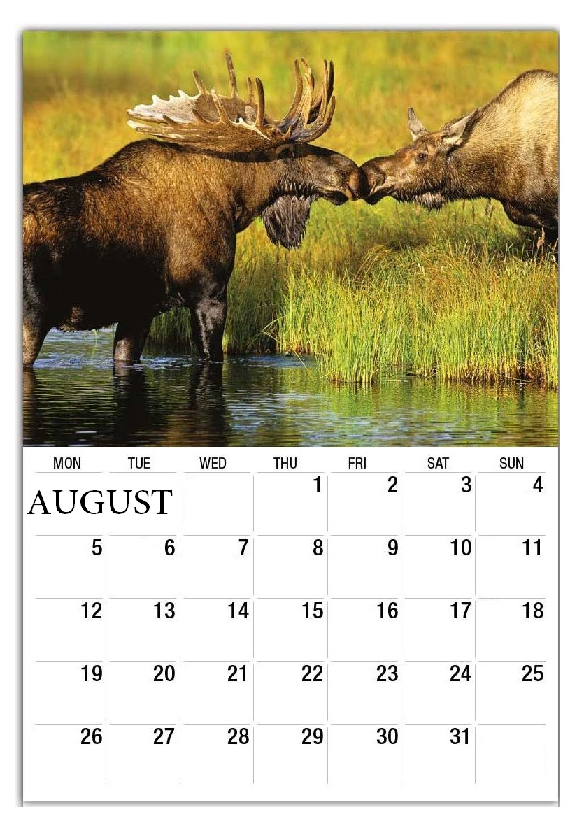 August 2019 Calendar For Wall