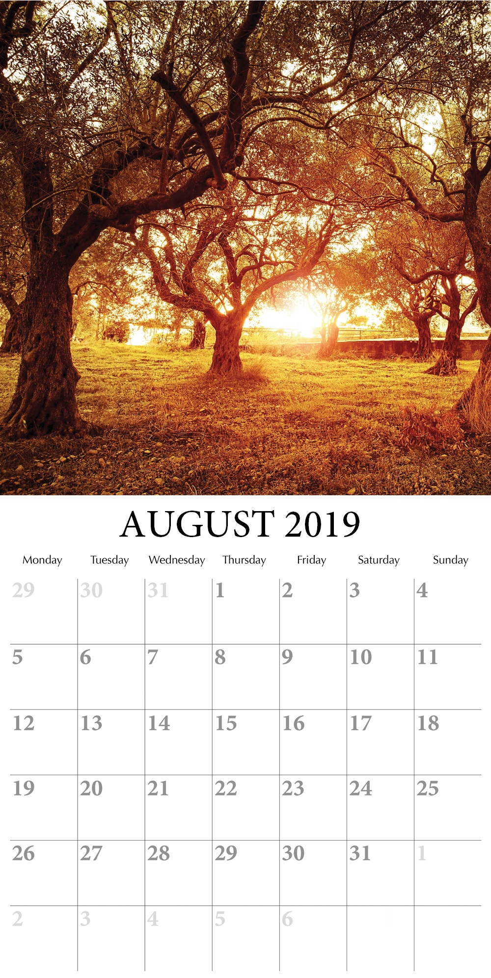 Printable August 2019 Wall Calendar