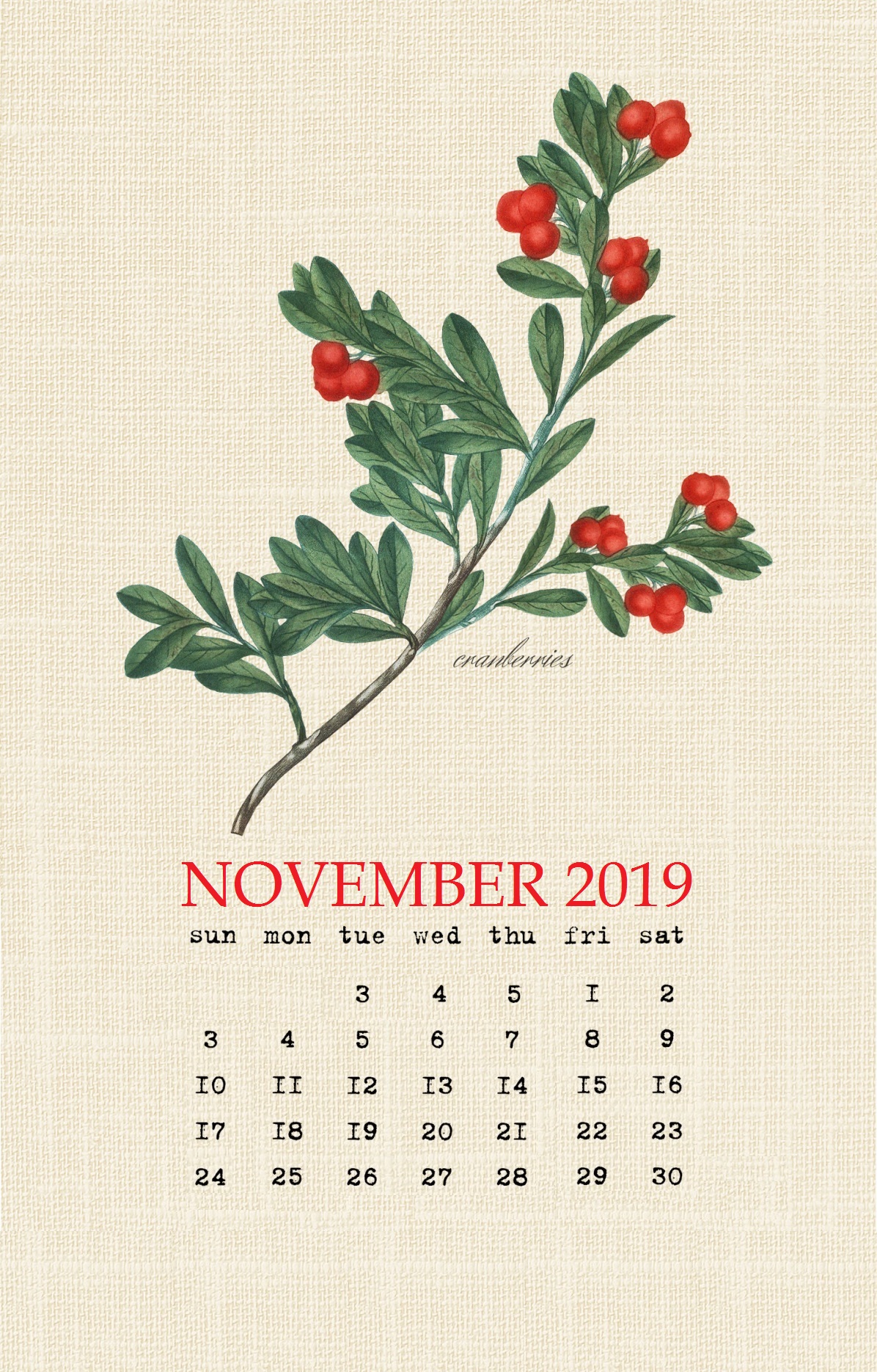 Cute November 2019 Calendar Design