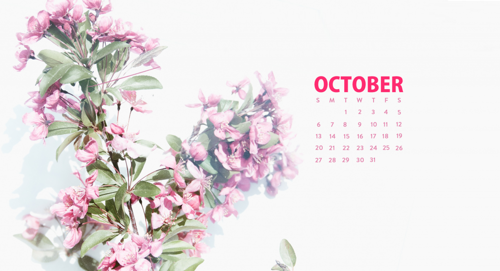 Cute October 2019 Desktop Wallpaper