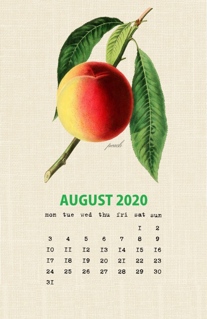 Botanical Fruit August 2020 Calendar