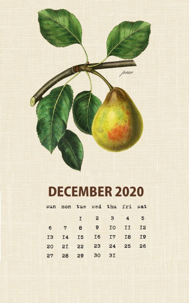 Botanical Fruit December 2020 Calendar
