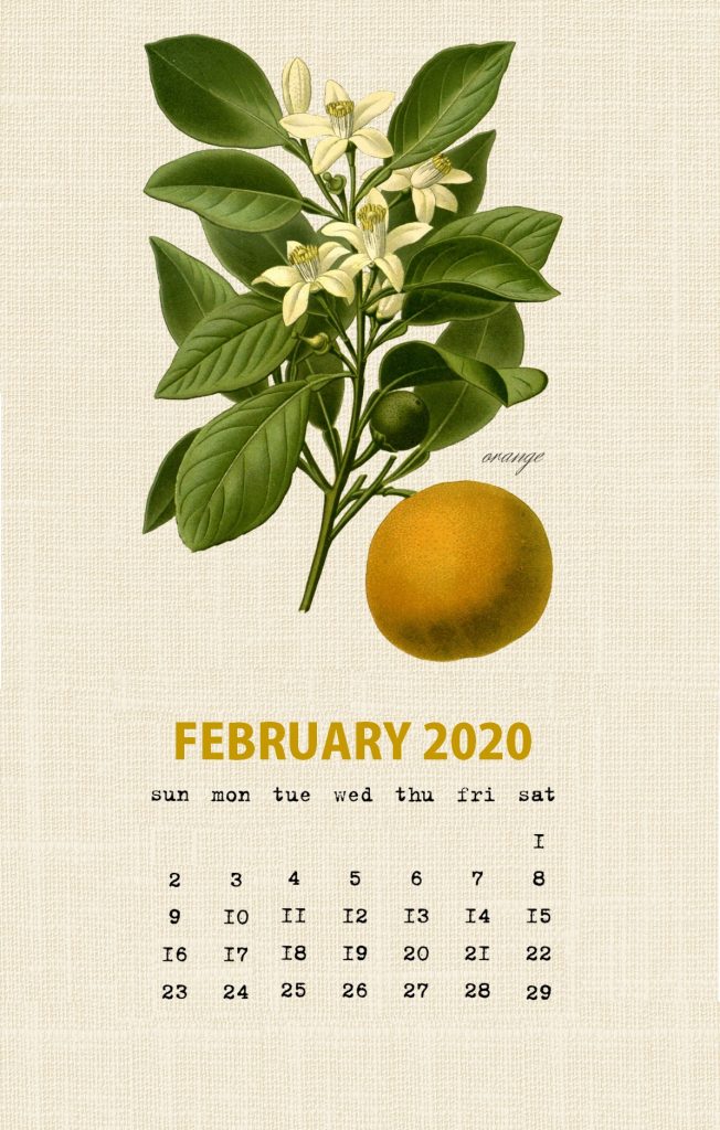 Botanical Fruit February 2020 Calendar