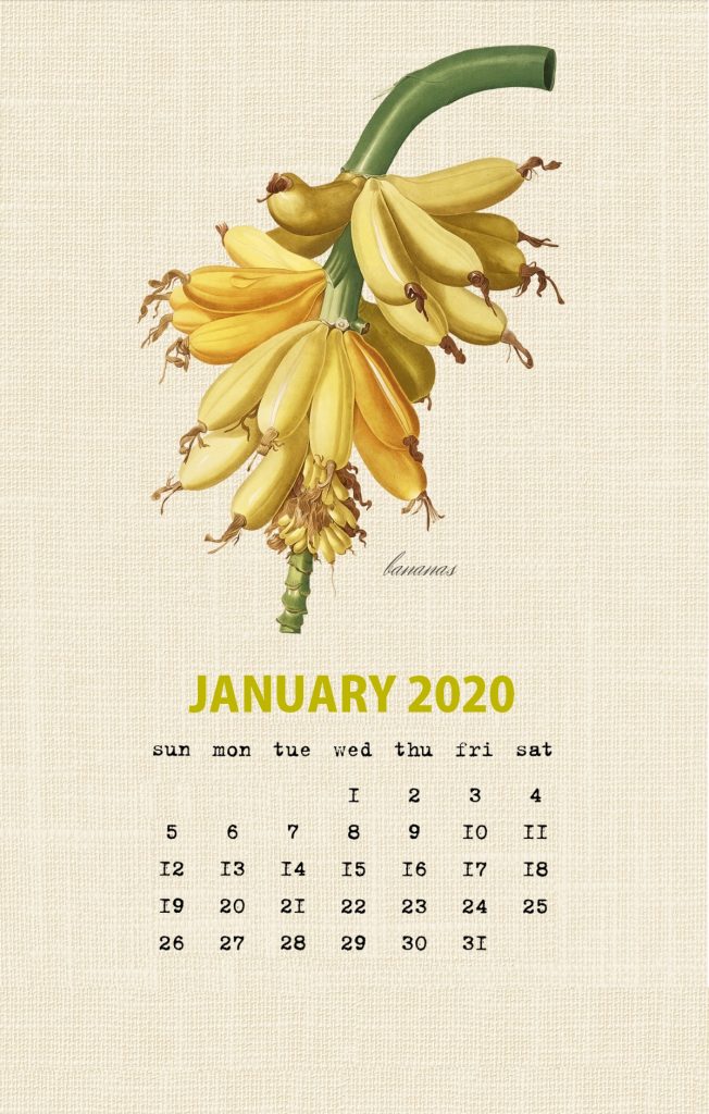 Botanical Fruit January 2020 Calendar