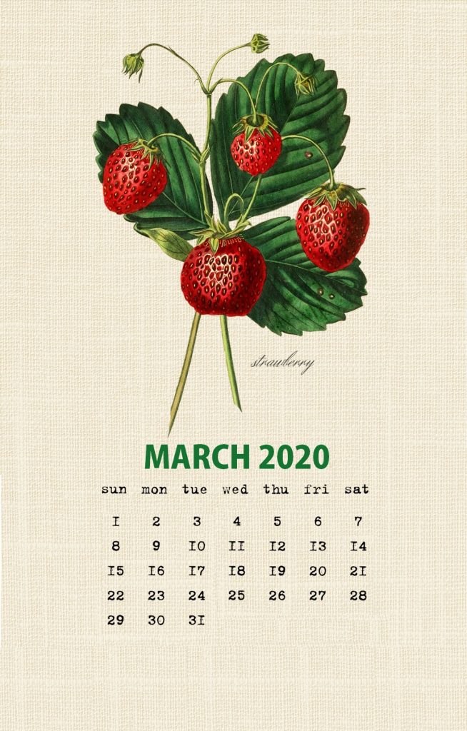 Botanical Fruit March 2020 Calendar