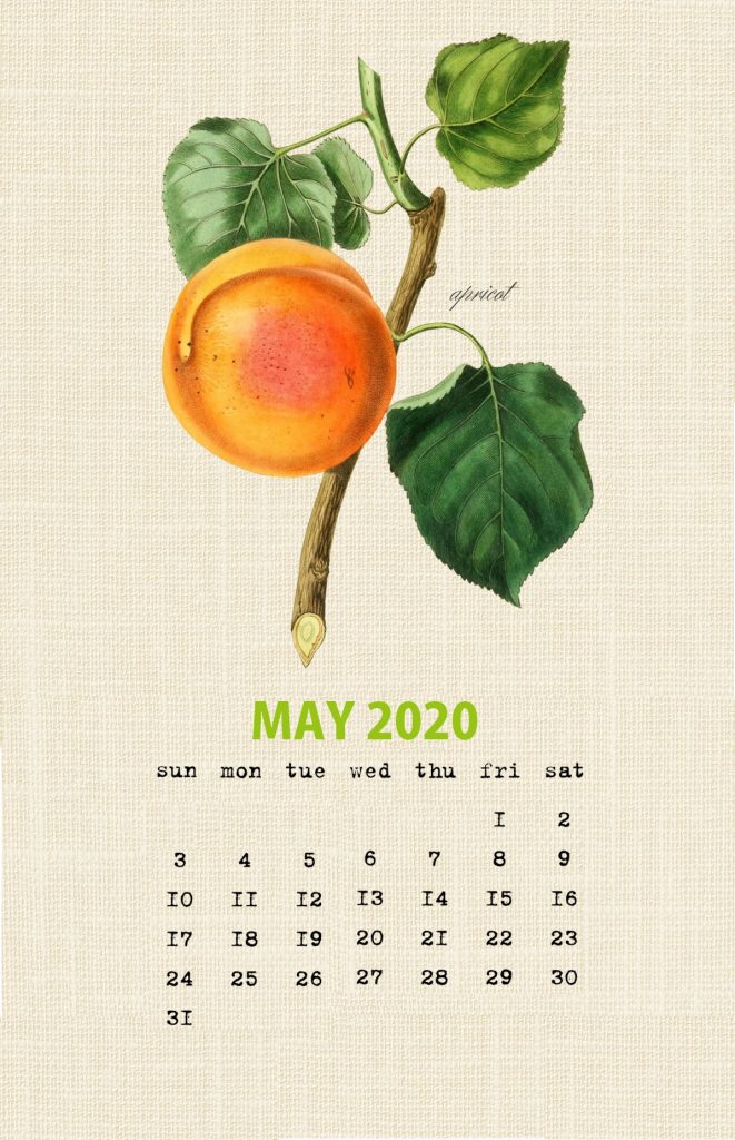 Botanical Fruit May 2020 Calendar