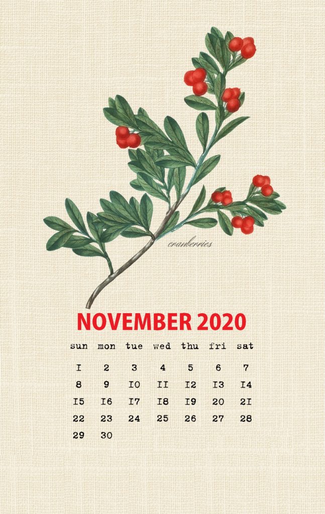 Botanical Fruit November 2020 Calendar