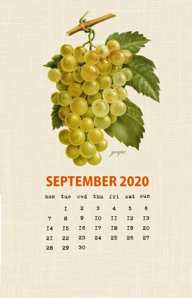 Botanical Fruit September 2020 Calendar