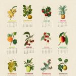 Botanical Fruits 2020 Calendar