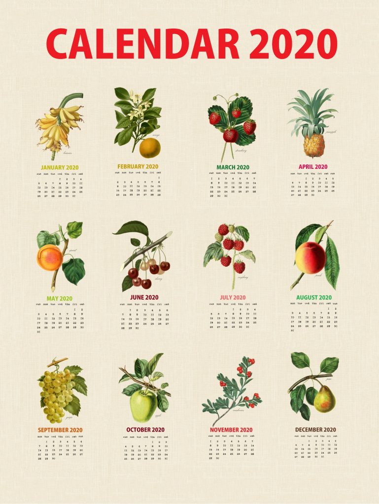 Botanical Fruits 2020 Calendar