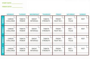 Focus T25 Alpha Beta Gamma Calendar