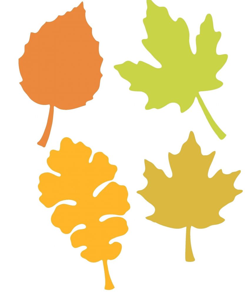 Maple Fall Autumn Printable Leaf Template Pdf