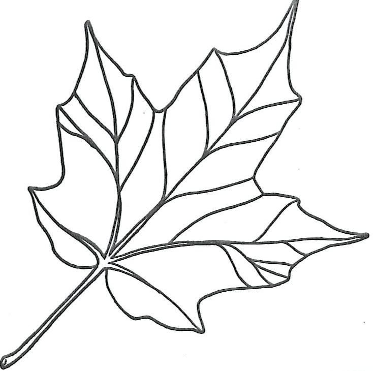 Leaf Cut Out Template