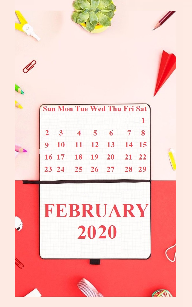 Best iPhone February 2020 Wallpaper