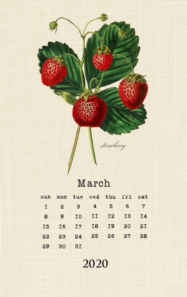 Cute March 2020 Wall Calendar