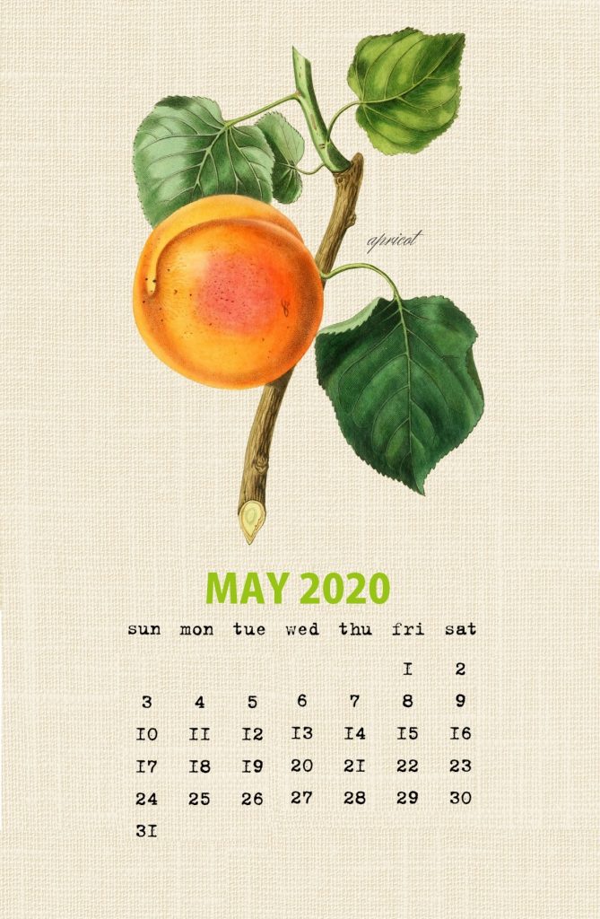 Cute May 2020 Wall Calendar