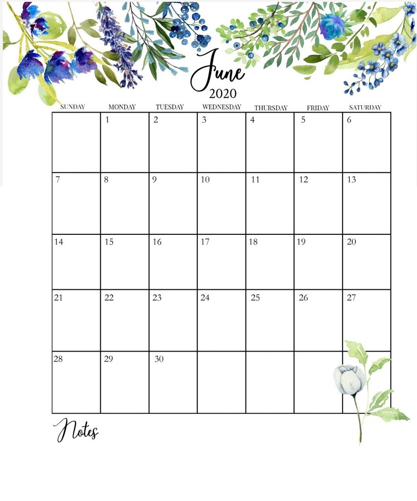 Cute June 2020 Calendar Template
