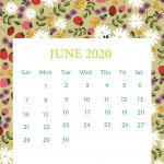 Printable June 2020 Wall Calendar