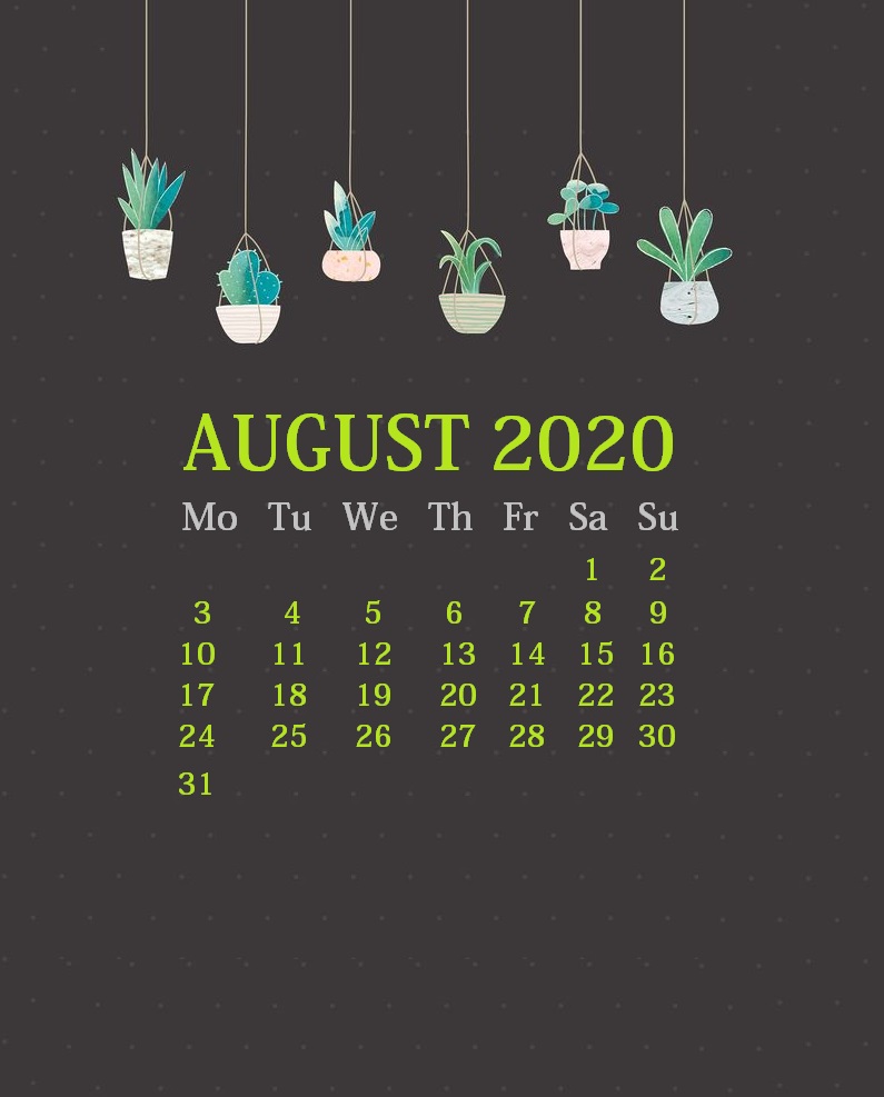August 2020 Wallpaper For iPhone