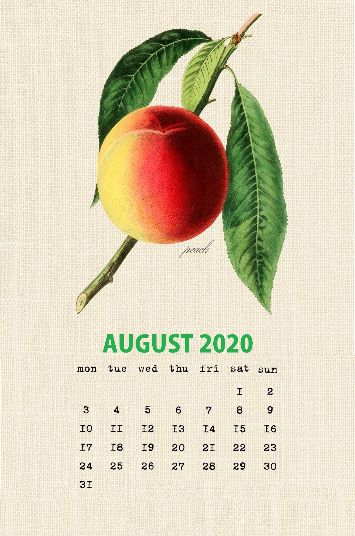Botanical Fruit August 2020 Wall Calendar