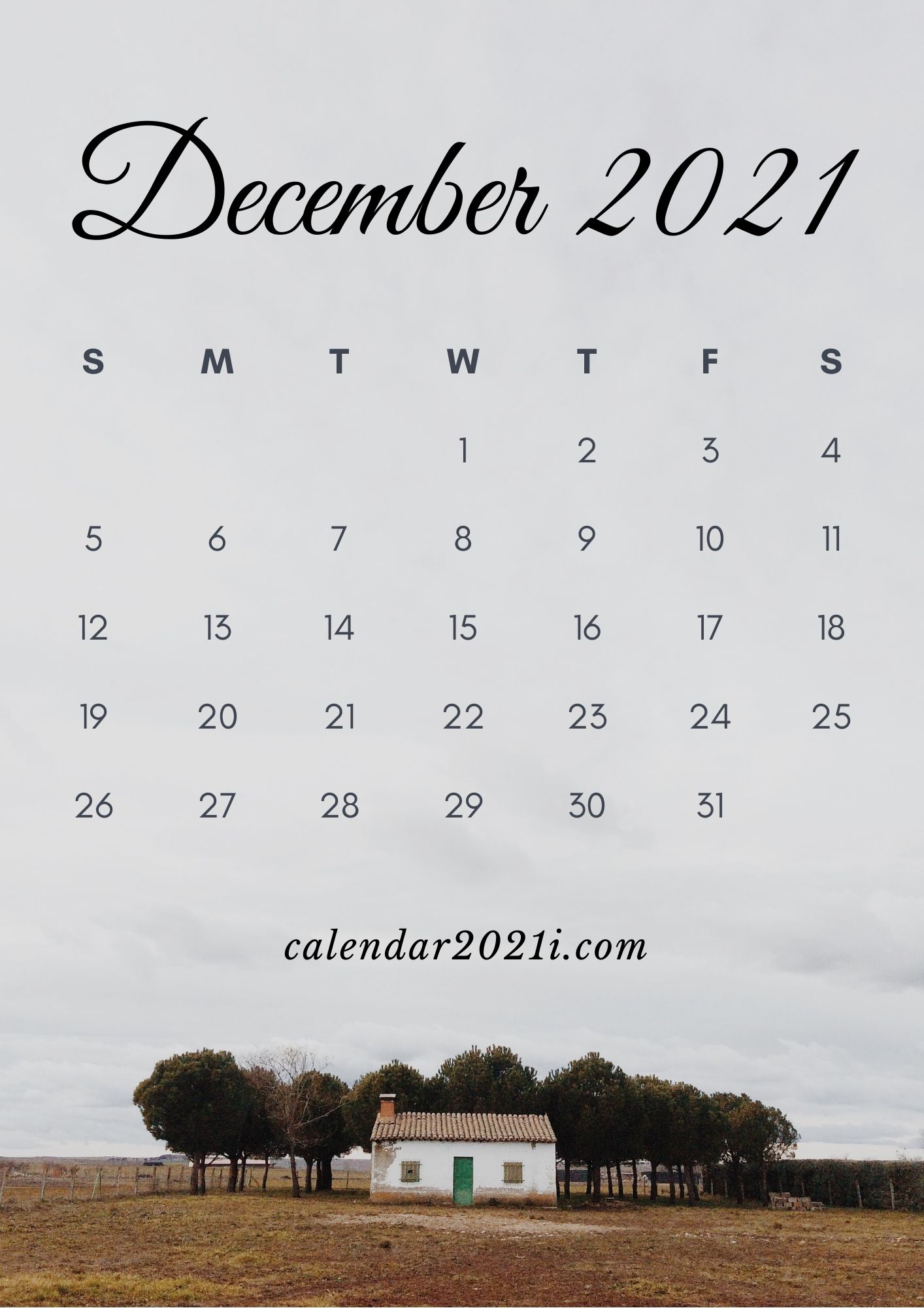 December 2021 iPhone Calendar Wallpaper
