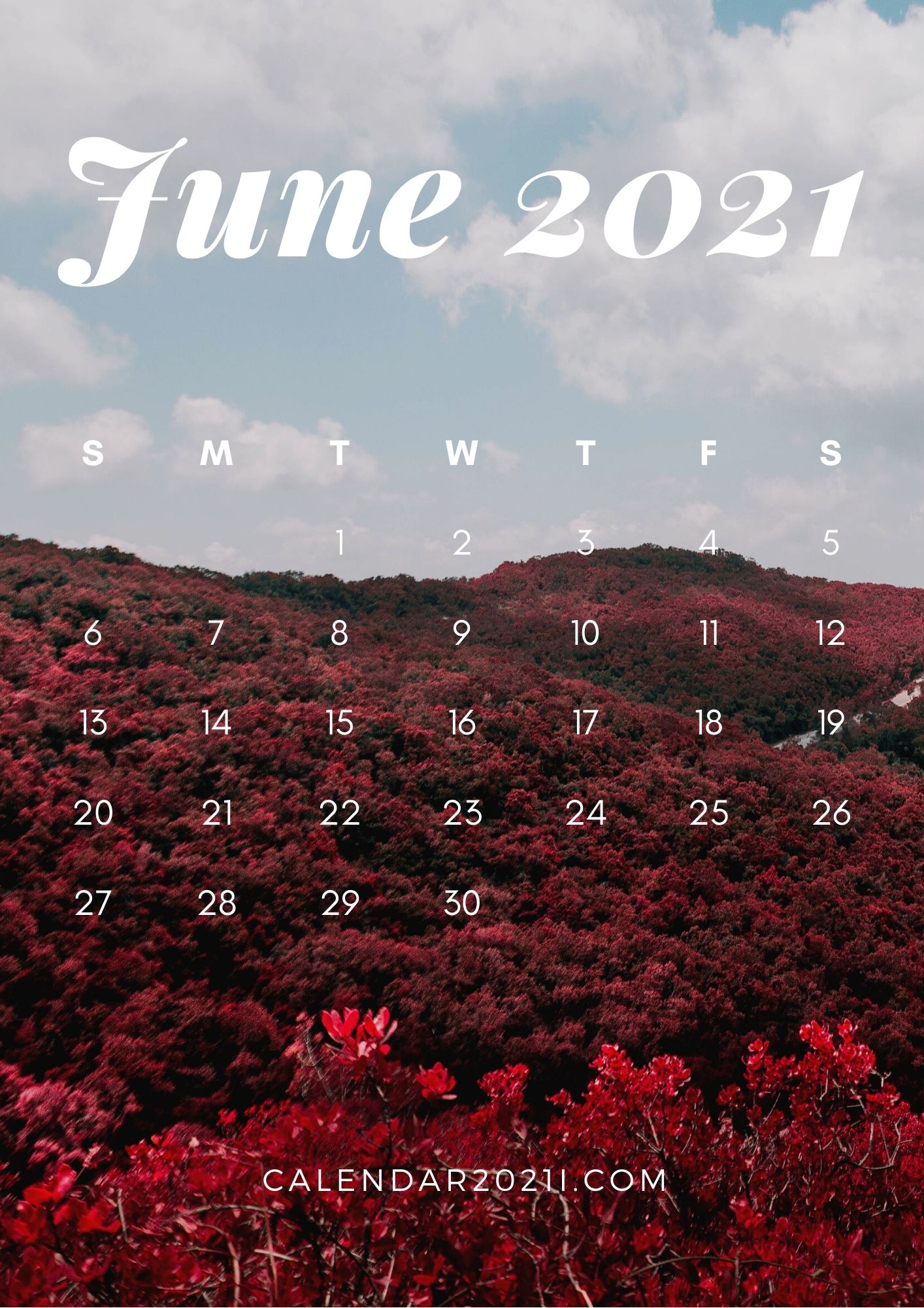 June 2021 iPhone Calendar Wallpaper