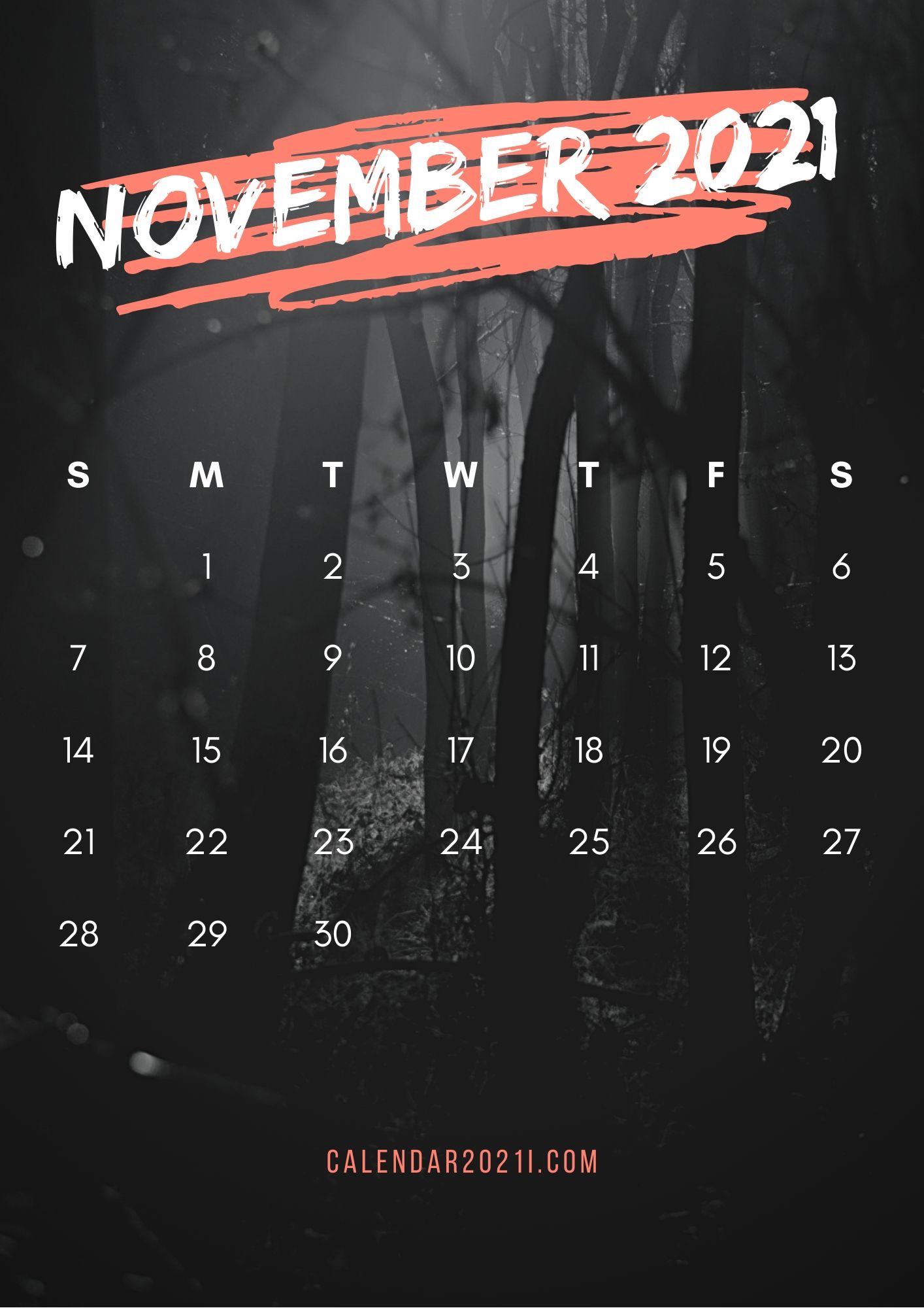 November 2021 iPhone Calendar Wallpaper