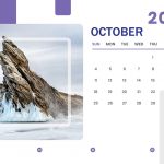 October 2020 Professional Calendar