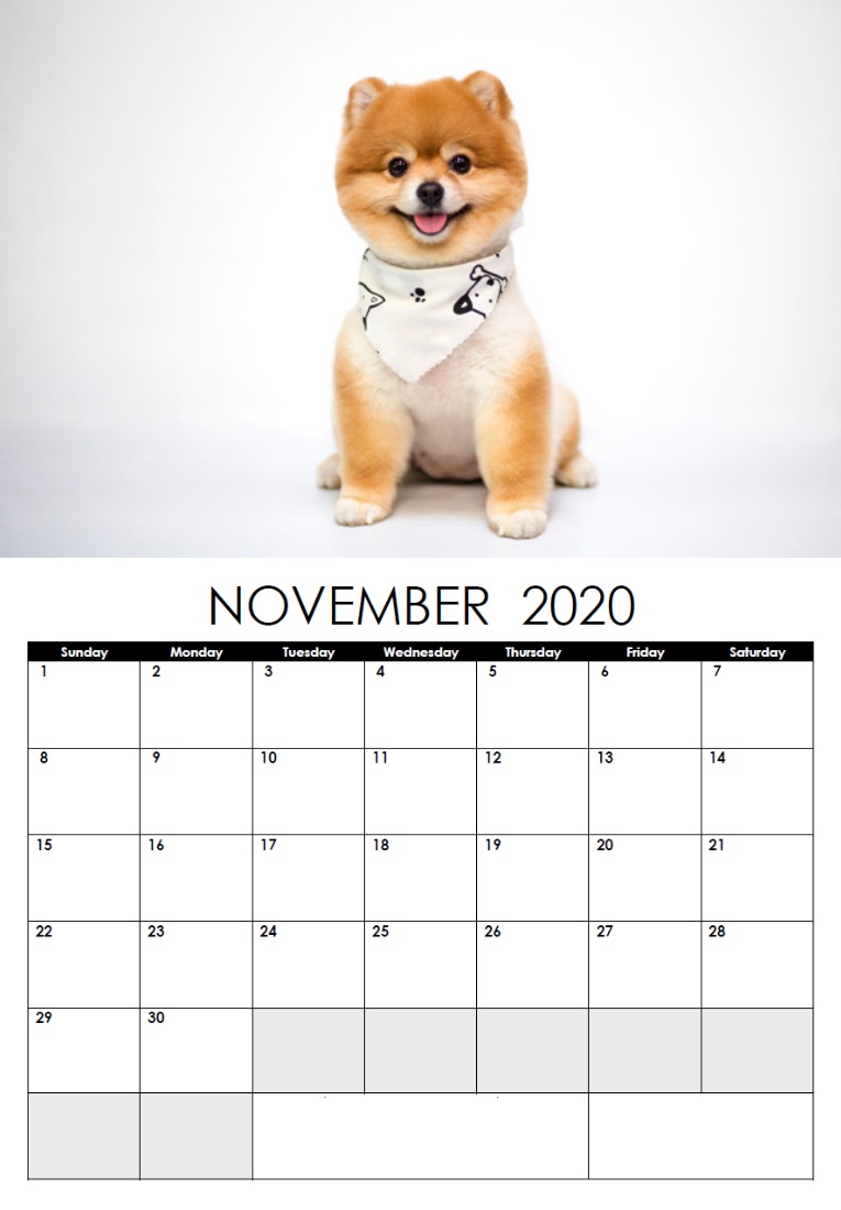 Cute Dog November 2020 Wall Calendar