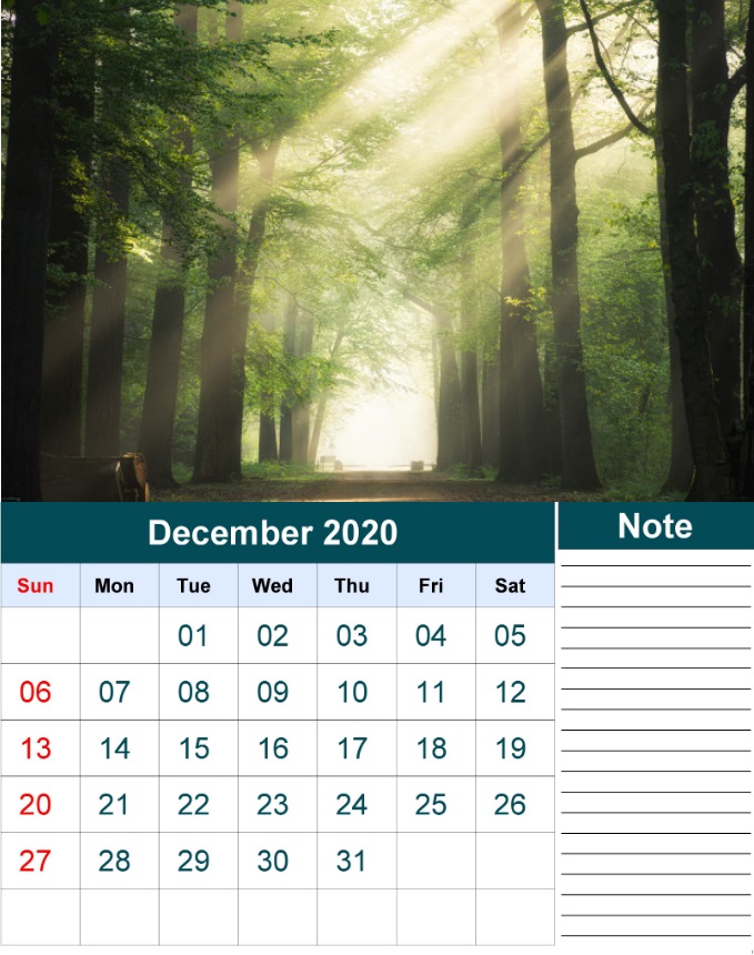December 2020 Wall Calendar