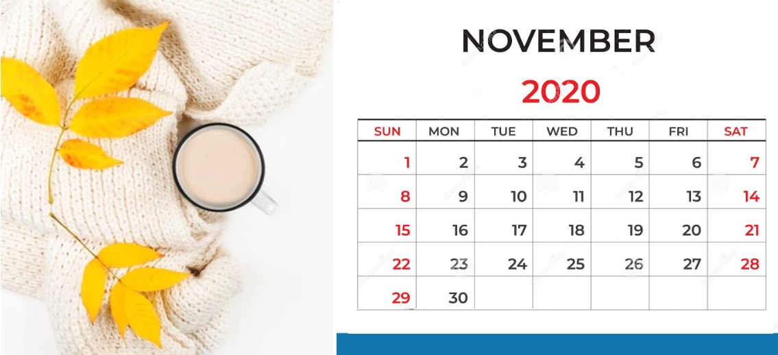 Floral November 2020 Calendar Printable