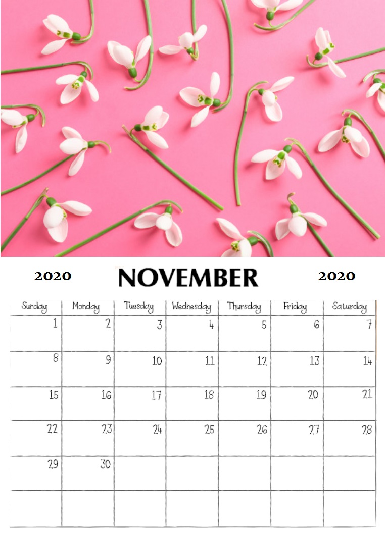 Floral November 2020 Wall Calendar
