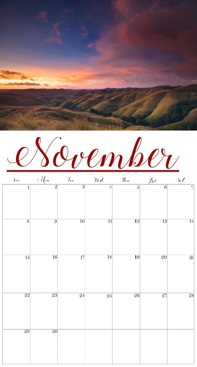 November 2020 Wall Calendar For Office