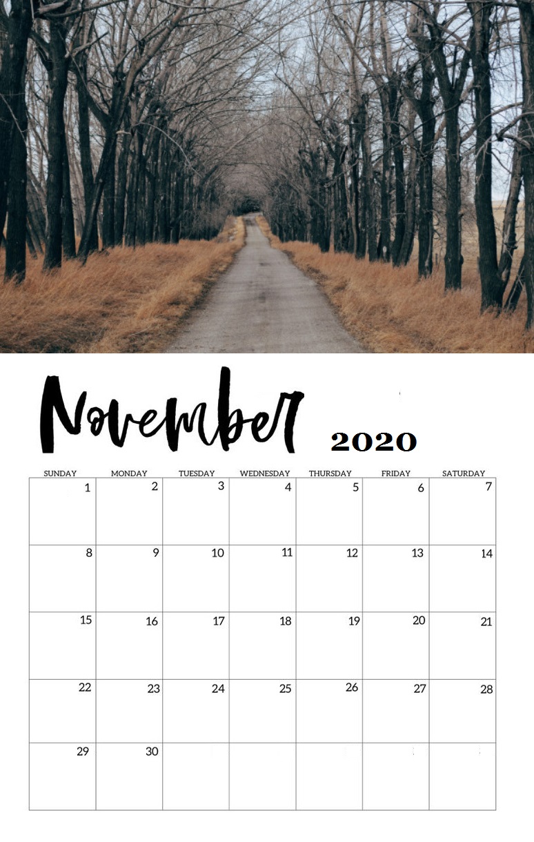 November 2020 Wall Calendar