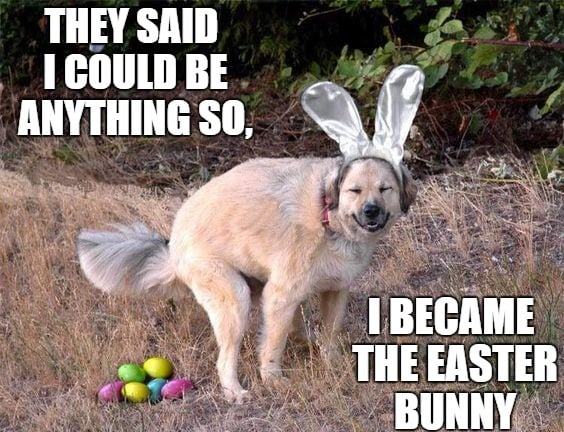 Best Funny Easter Memes 2022