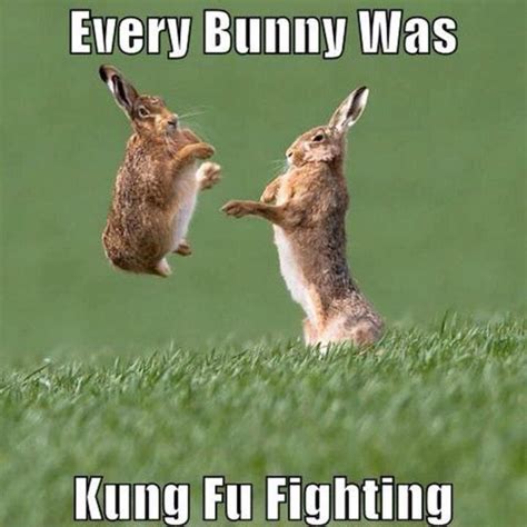 Easter bunny Memes