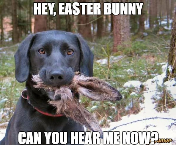 funny memes about Easter to boost your mood in 2022